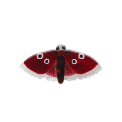 Fluttering Bogong Ring^Erstwilder Hot