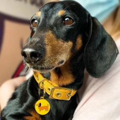Spiffy The Sausage Dog Enamel Pet Charm^Erstwilder Online