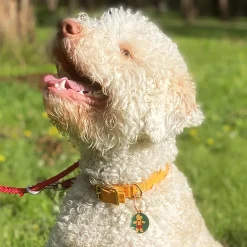 The Bite Before Christmas Enamel Pet Charm^Erstwilder Clearance