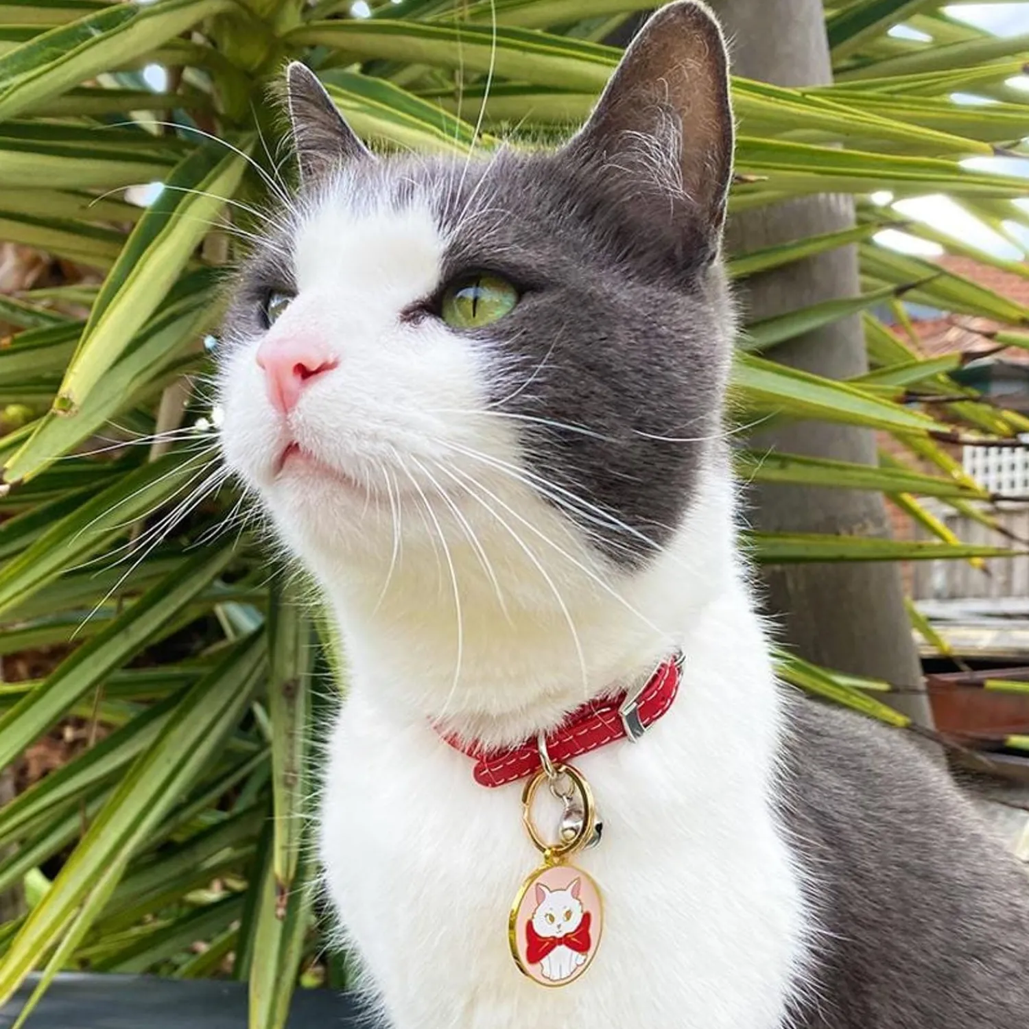 Wrapped Up In Love Enamel Pet Charm^Erstwilder New